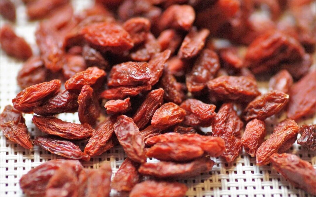 Goji-Beere das Superfood bekannt als Wolfsbeere 📌